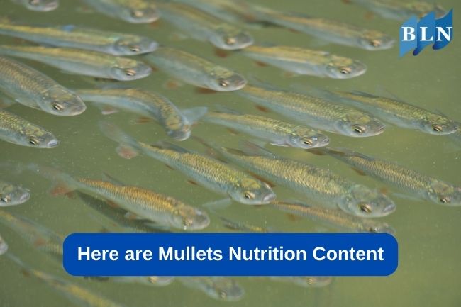 Here are Mullets Nutrition Content